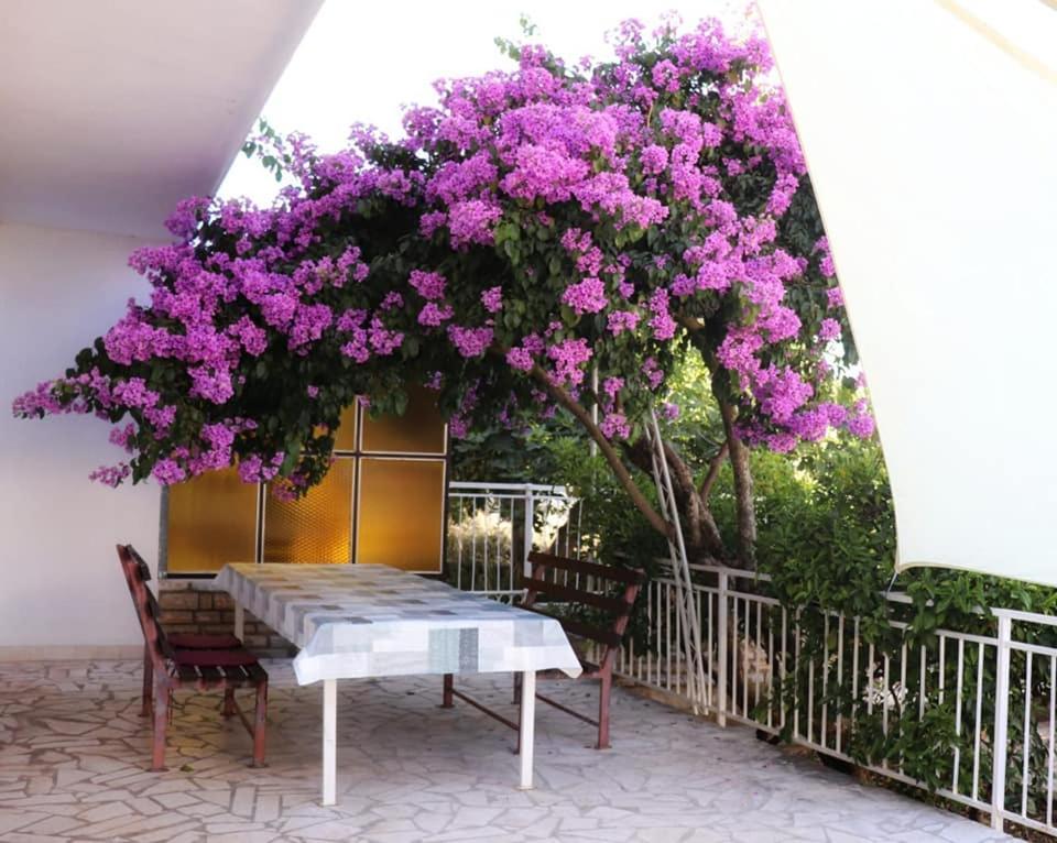 Apartman Simac Okrug Gornji Trogir Zewnętrze zdjęcie